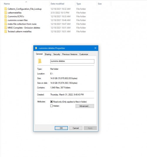 Cummins-Deletes-ECFGs-caltermetafiles-14.8-GB-DVD.jpg
