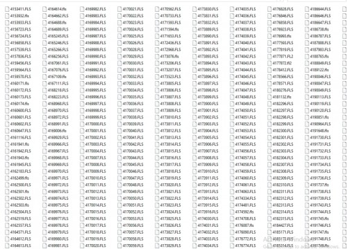 CAT-FLASH-FILES-69GB-Collection-1.jpg