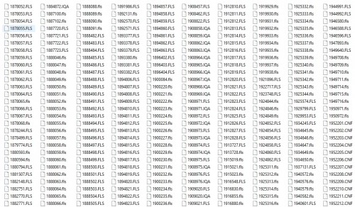 CAT-FLASH-FILES-49-GB-Collection-1.jpg